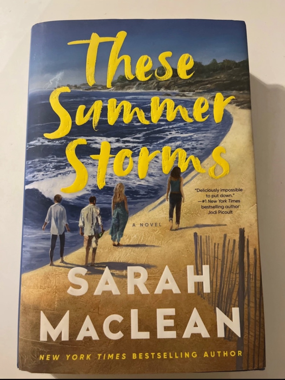 These Summer Storms — Hardcover Novel in Blue and Tan